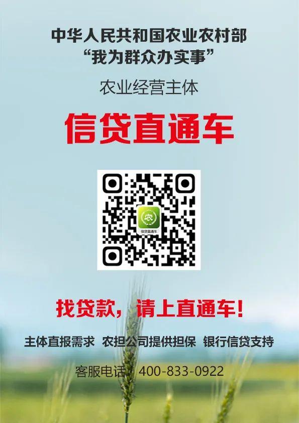 信貸直通車.jpg